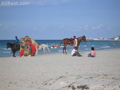 Riu Palace Royal Garden 23
